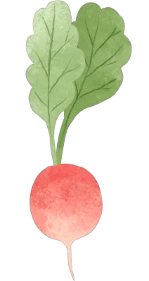 Radish